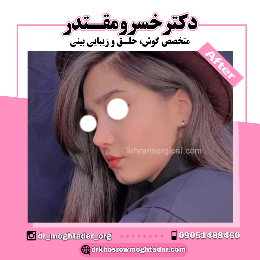 نمونه کار دکتر خسرو مقتدر 3